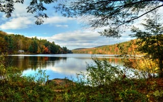 Картинка деревья, осень, пейзаж, озеро