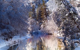 Картинка деревья, река, Зима, пейзаж
