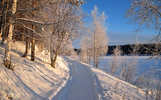 Картинка деревья, Зима, дорога, пейзаж
