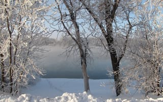 Картинка деревья, Зима, озеро, пейзаж
