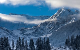 Картинка пейзаж, швейцария, adelboden, горы