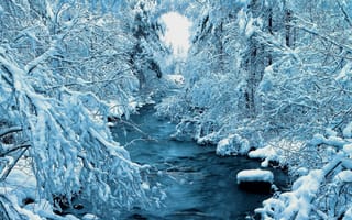 Обои пейзаж, Зима, снег, река