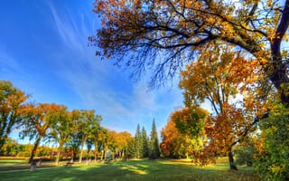 Картинка деревья, парк, пейзаж, осень