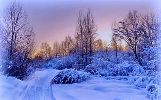 Картинка закат, снег, вечер, подмосковье, пейзаж, деревня, Зима, дорога