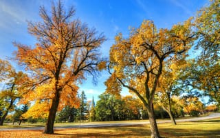 Картинка деревья, пейзаж, осень, парк