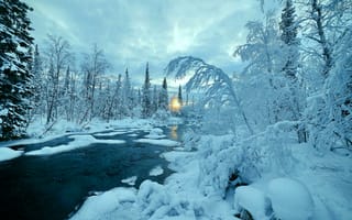 Картинка природа, Зима, речка, пейзаж, деревья