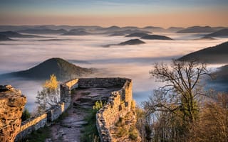 Картинка горы, туман, германия, холмы, вид из старой крепости, wegelnburg, pfalz