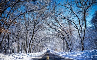 Картинка деревья, дорога, Зима, пейзаж