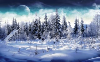 Картинка луна, заснеженные ели, снег