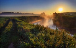 Картинка Украина, солнце, Тетерев, природа, деревья, трава, река, Полесье, утро, рассвет, туман, дорога