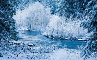 Картинка зима, деревья, лес, река