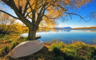 Картинка озеро, пейзажи, дерево, лодка