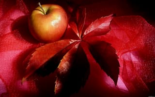 Обои фрукт, яблоко, красный, лист