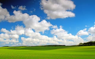 Картинка поле, облака, пейзажи, трава