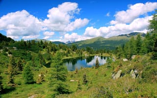 Картинка озеро, лес, деревья, трава, камни, зеленая, вода, природа