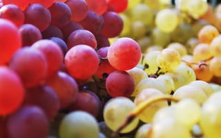 Картинка виноград, много, фрукты, еда