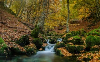 Картинка осень, пейзаж, осенние листья, краски осени, деревья, природа, камни, водопад, река, мох, лес, осенний водопад