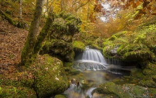 Картинка мох, деревья, осень, пейзаж, colors of autumn, лес, осенние листья, река, природа, водопад, камни, осенний водопад