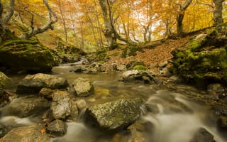 Картинка осень, река, лес, пейзаж, деревья, водопад, осенние листья, камни, мох, осенний водопад, природа, краски осени