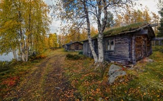 Картинка Торнио, дома, осенние листья, краски осени, Финляндия, осень, пейзаж, природа, дорога, хижины, деревья
