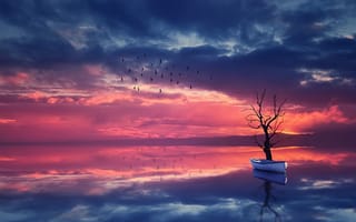 Картинка стая птиц, пейзаж, арт, отражение, дерево, закат, лодка, озеро