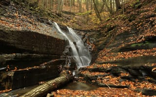 Картинка Маленький водопад в Итака, штат Нью-Йорк, США осень