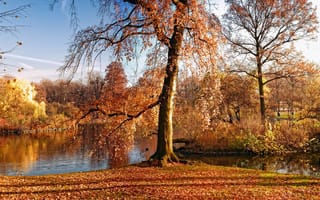 Картинка осень, листопад, река, деревья