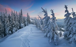 Картинка зима, тропинка, пейзаж, снег, деревья, закат, сугробы