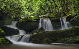 Картинка Great Smoky Mountains National Park, скалы, пейзаж, природа, лес, водопад, деревья