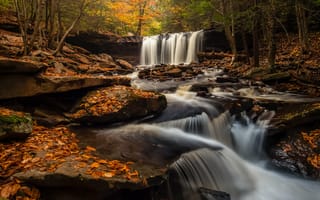 Картинка Рикеттс Glen State Park в Пенсильвании, Государственный парк Ricketts Глен, осенние цвета