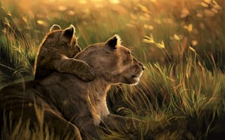 Картинка львица, львенок, дикая природа, хищник, семья