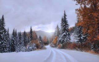 Картинка зима, снег, пейзаж, природа, пасмурно, облачно, деревья, дорога