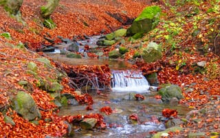 Обои осень, ручей, водопад, осенние листья, речка, природа, камни, пейзаж