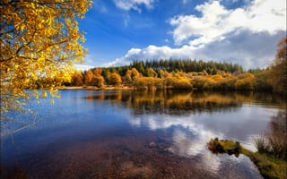 Картинка Англия, Herbst, пейзаж, Клима, Jahreszeiten, озеро, деревья, осень