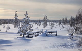 Обои Lapland, закат, пейзаж, Sunset, снег, зима, Finland, деревья