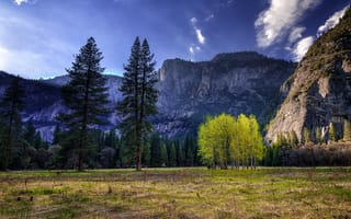 Обои национальный парк Йосемити, трава, небо, горы, облака, деревья