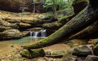 Обои Hocking Hills State Park, скалы, Ohio, лес, пейзаж, водопад, деревья