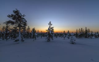 Картинка Lapland, закат, Sunset, снег, зима, Saariselka, Finland, пейзаж, деревья