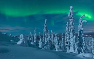 Картинка Лапландия, пейзаж, деревья, зима, сугробы, сияние, снег
