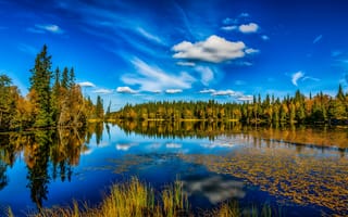 Картинка озеро, осень, лес