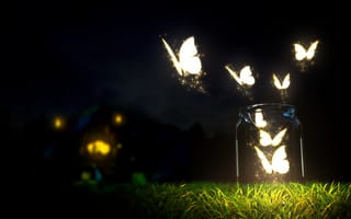 Картинка бабочки, бутылка, разное, трава, светящиеся, ночь, размытие, банка, рендеринг