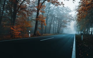 Картинка осень, пейзаж, рассвете, дорога, утро, туман, деревья