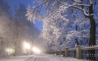 Картинка зима, парк, пейзаж, фонари, снег, дорога, ночь, деревья, свет
