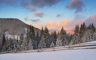 Картинка зима, тропинка, горы, деревья, пейзаж, закат, снег, сугробы
