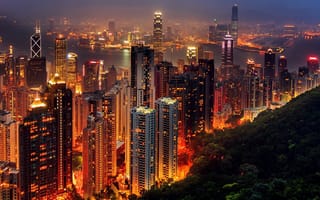 Обои Гонконг, высота, город, ночь, огни, мир, небоскребы
