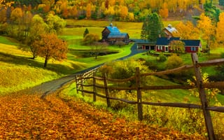 Картинка Vermont, США, дорога, деревья, пейзаж, осень, Вермонт, дома