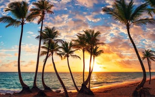 Обои Palm and tropical beach, солнечно, берег, курорт, песок, на свежем воздухе, место отдыха, пляж, пейзаж, море, Карибы, лето, пальмы, облака, океан, небо, тропики, закат