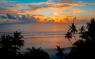 Обои тропический, песок, кокосовые пальмы, сумерки, тихо, океан, закат, The Maldives, отдых, пальмы, небо, идиллический, мирный, природа, Восход смотреть, пляж, спокойный, побережье, море, силуэт, рассвет, тропики, отпуск, пейзаж, Paradise, облака