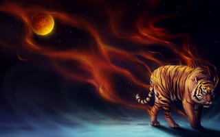Картинка тигр, произведения искусства, животные, цифровое искусство, художник