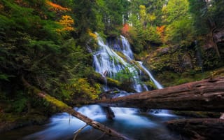 Картинка Panther Creek водопад, лес, пейзаж